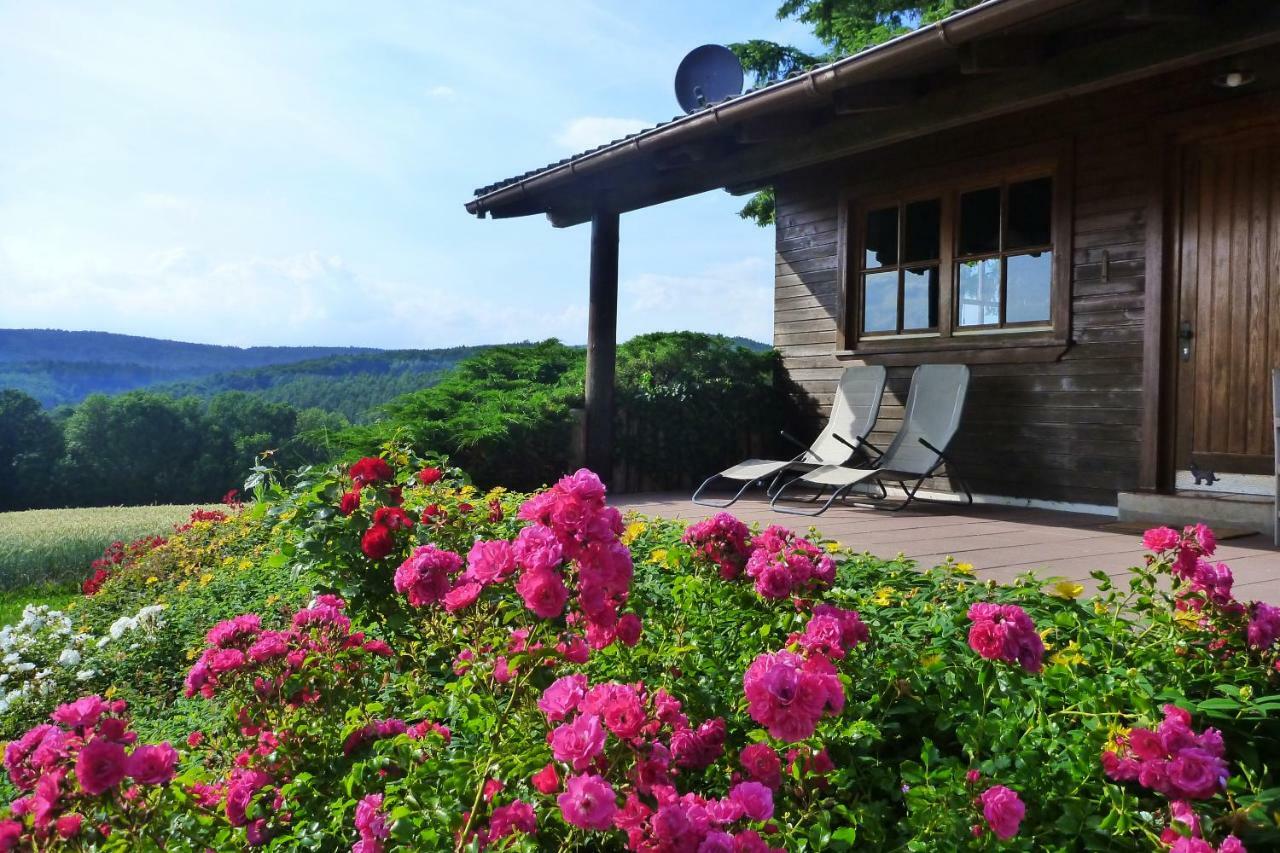 Ellernhof Im Spessart Villa Stadtprozelten Dış mekan fotoğraf