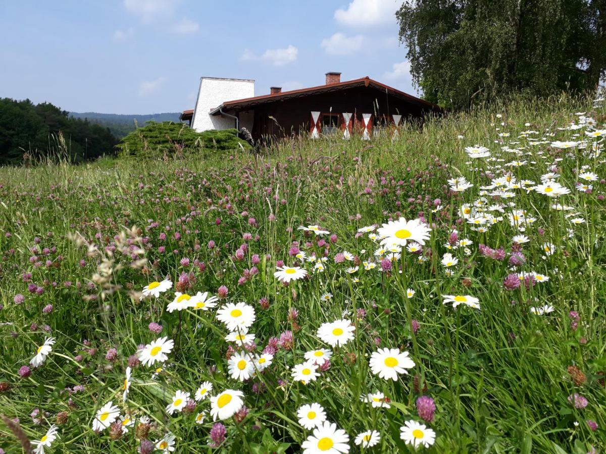 Ellernhof Im Spessart Villa Stadtprozelten Dış mekan fotoğraf
