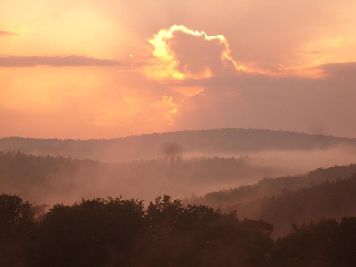 Ellernhof Im Spessart Villa Stadtprozelten Oda fotoğraf